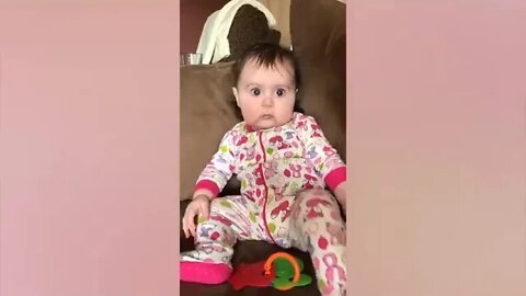 15 Cute Babies Playing With Dogs Compilation Funny Baby And Pets