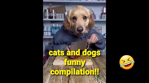 "Get ready to laugh with this hilarious cats and dogs compilation! 😂🐱🐶"