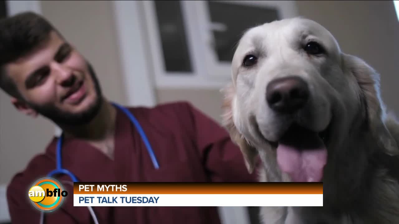 PET TALK TUESDAY - PET MYTHS