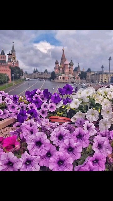 💛 August in the capital