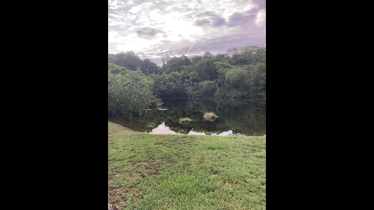 Beauty lake in miami