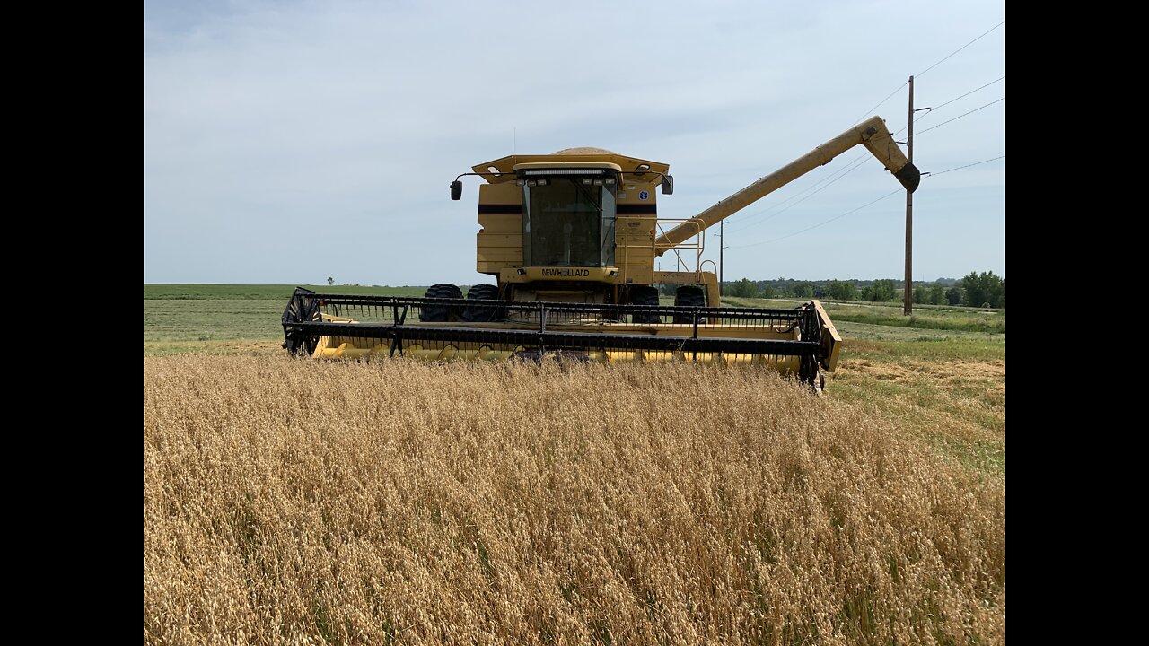 Our First Time Straight Combining Oats and Round Bailing 2nd Cut Alfalfa Hay!