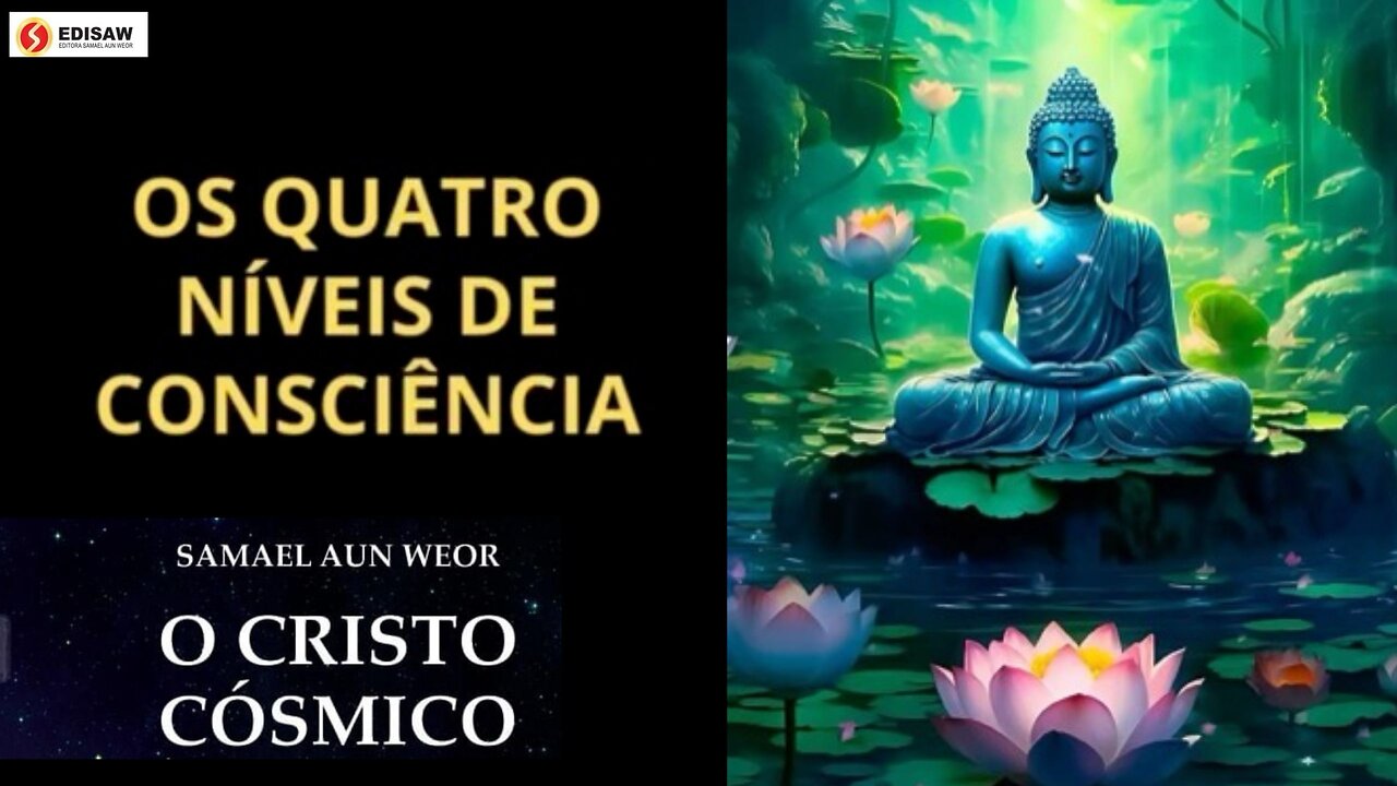 OS QUATROS NÍVEIS DE CONSCIÊNCIA