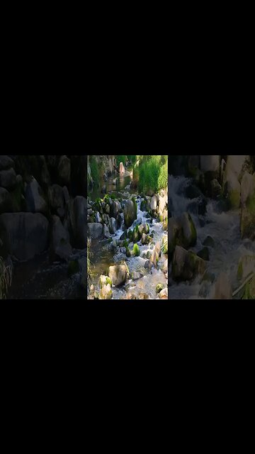 music - Zoom Vibe Tracks #music #shorts #short #shortvideo #shortsvideo