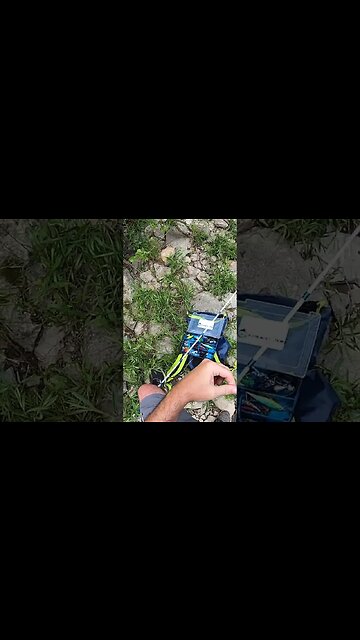 Switching baits after EVERY catch PART 3!