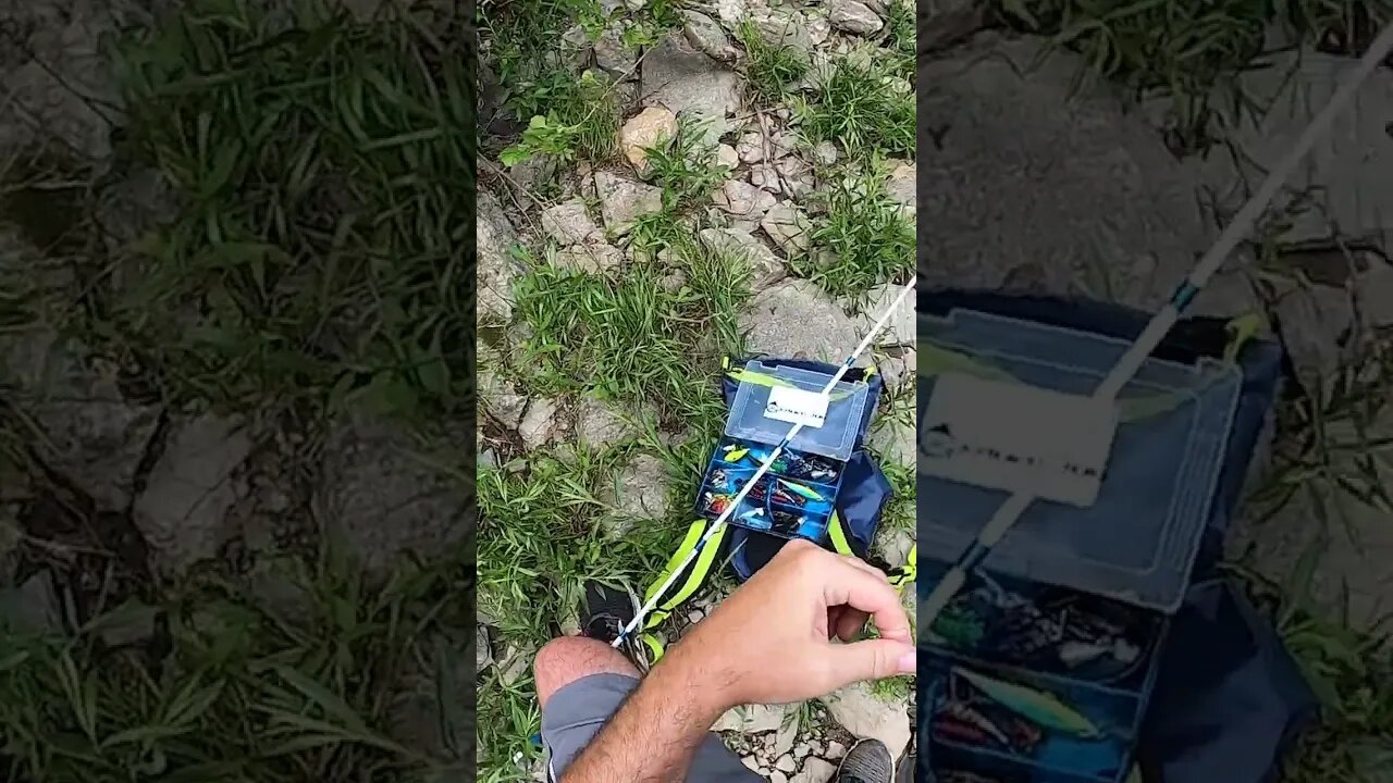 Switching baits after EVERY catch PART 3!
