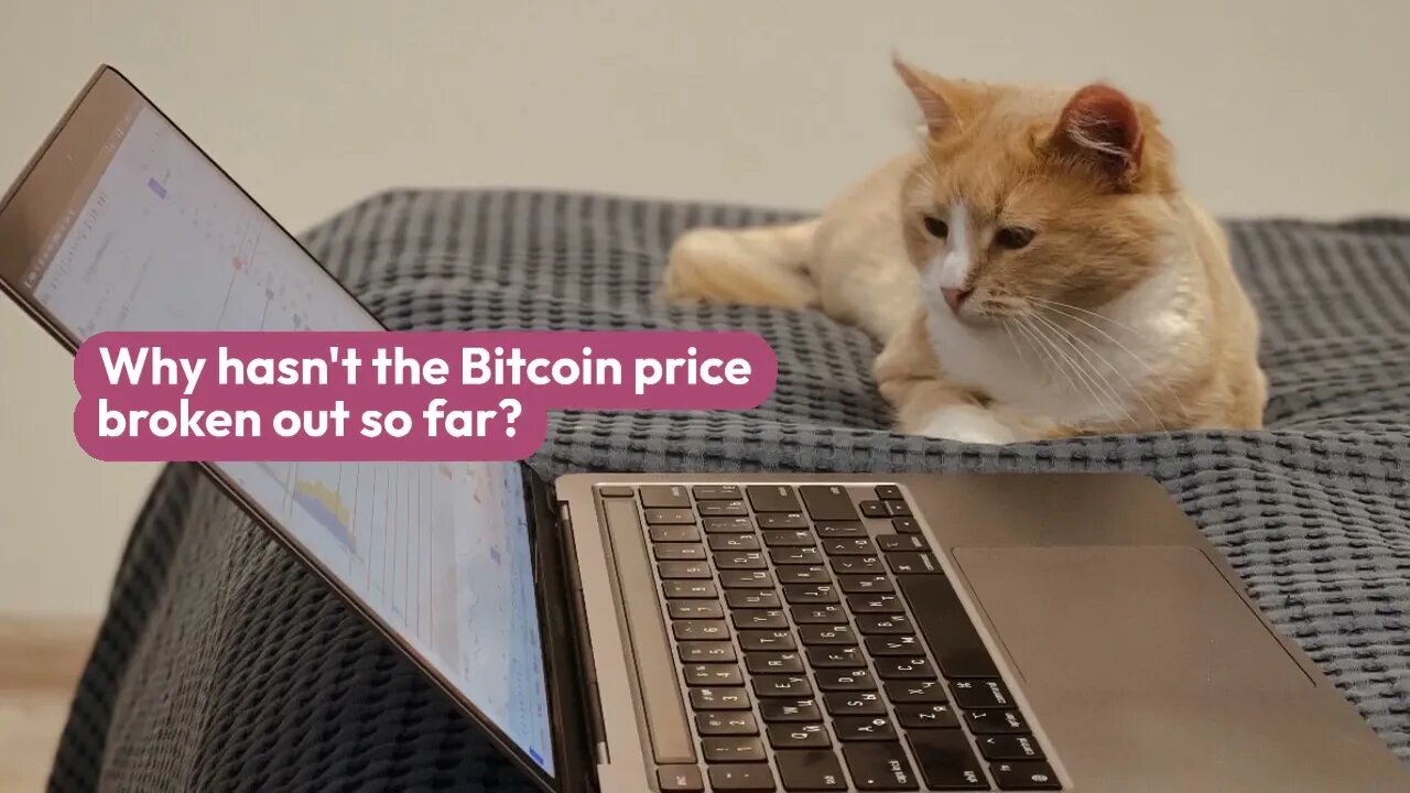 Bitcoin Surprise for Christmas?– Is the price going back to $20,000 soon?