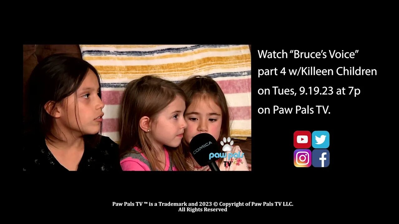 Paw Pals TV: Killeen children give Bruce a voice after deemed DANGEROUS killed by City of Killeen.