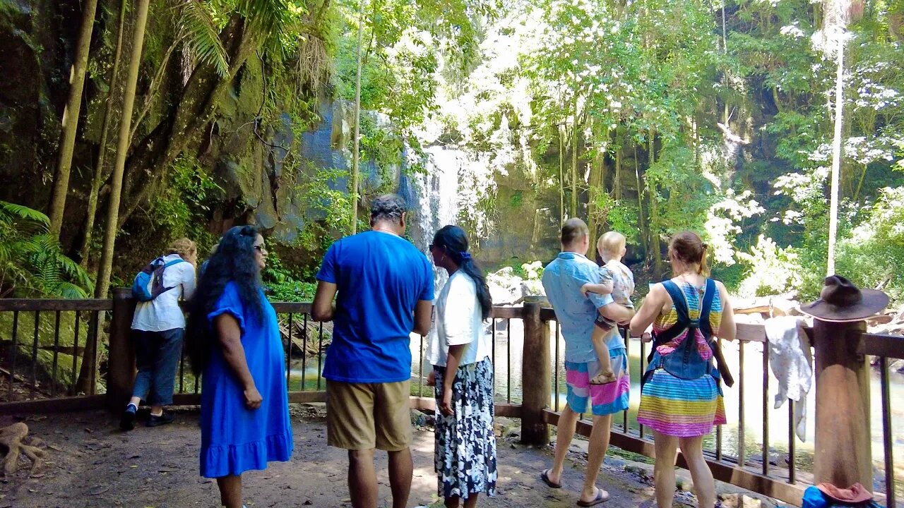 Curtis Falls || Tamborine Mountain Bushwalk || Gold Coast Hinterland