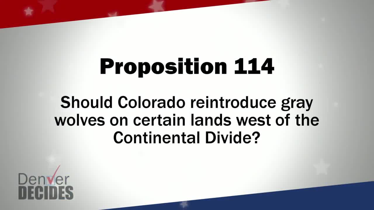 Denver Decides forum: Proposition 114 – Reintroduce Gray Wolves in Colorado