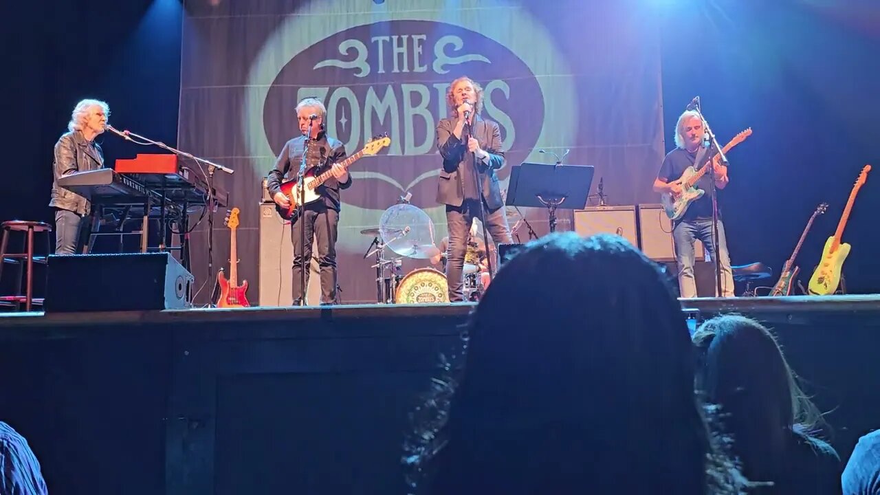 Zombies in Houston song This Will Be Our Year
