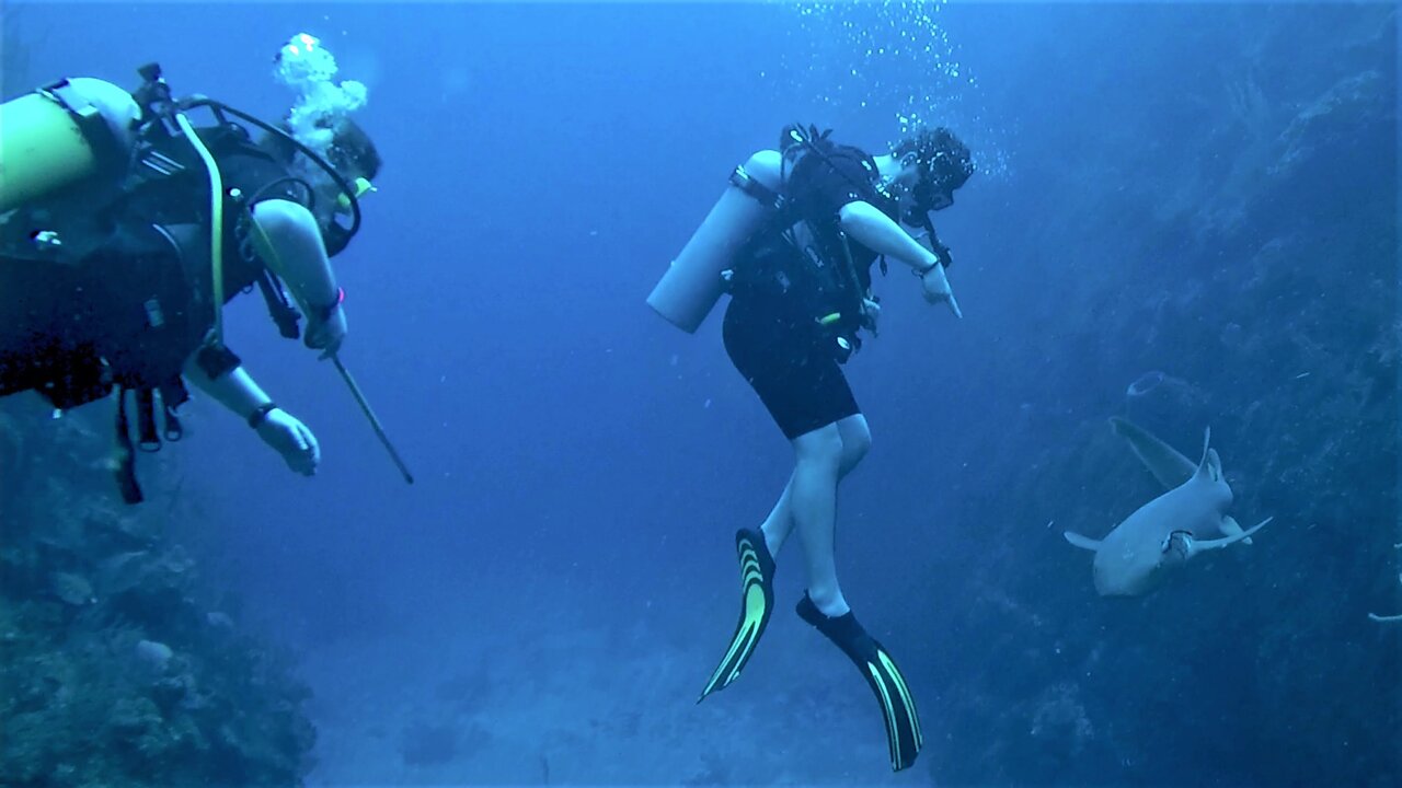 Scuba diver is amused when shark scares his brother