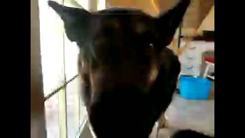 Lazy day with the babies