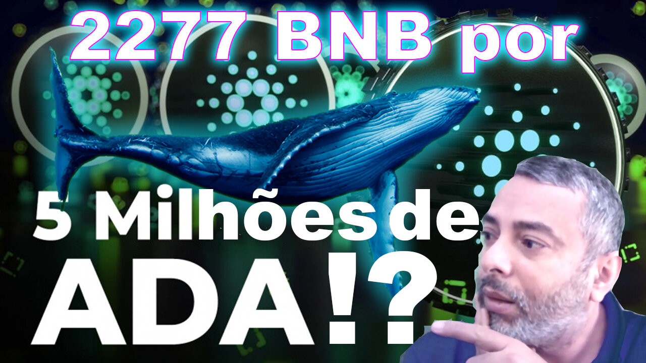 BNB por ADA - 5 milhões de ADA comprados pela principal baleia BNB