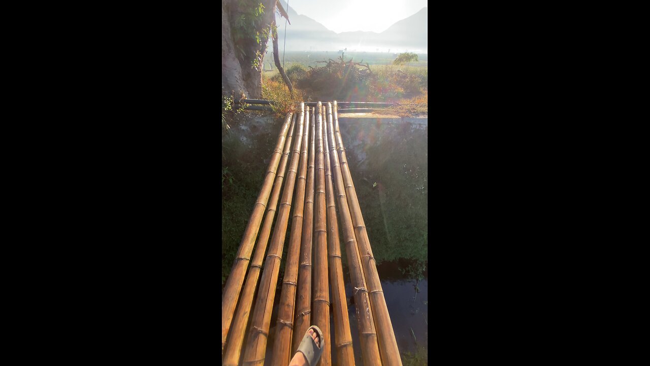 Crossing a Shaky Bamboo Bridge - Will I Make It?