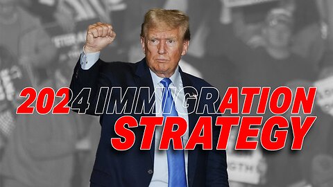 TRUMP'S 2024 IMMIGRATION STRATEGY: PLEDGES MASS DEPORTATION OF ILLEGAL IMMIGRANTS