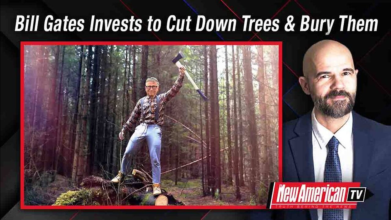 Bill Gates Invests Millions to Cut Down Trees & Bury Them