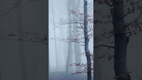 Listen to full meditations at Women's meditation network channel #meditation #sleep #shorts