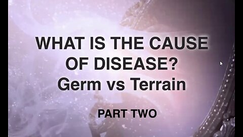 Terrain Theory vs Germ Theory: The True Cause of Disease PART 2