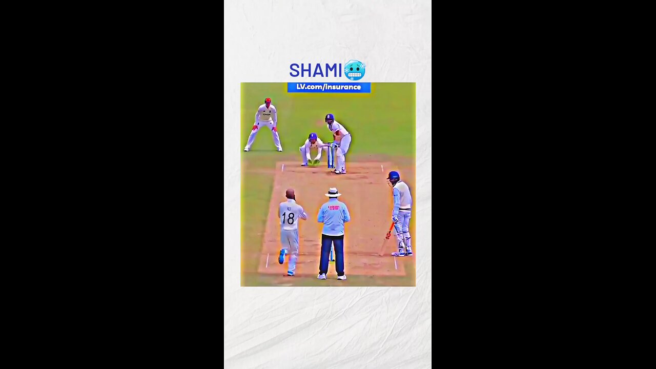 Mohammad shami fire hai 🔥🔥