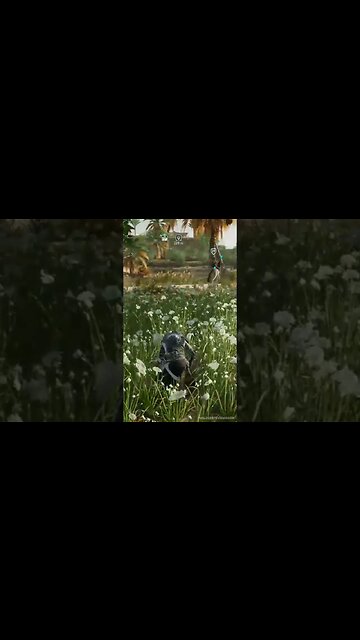 I Need Time To Get Loose #assassinscreed #assassinscreedorigins #shorts