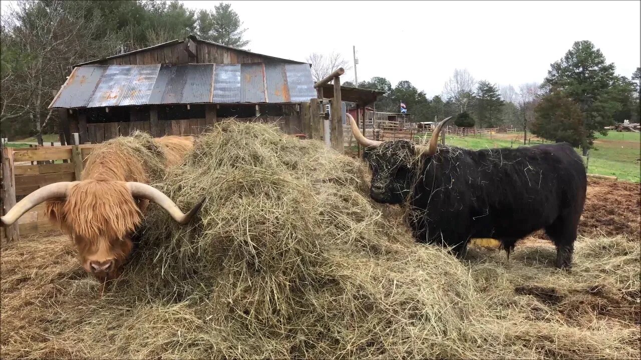 Ghillie face