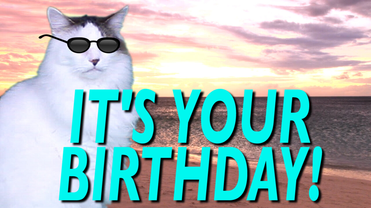 EPIC CAT Happy Birthday Song