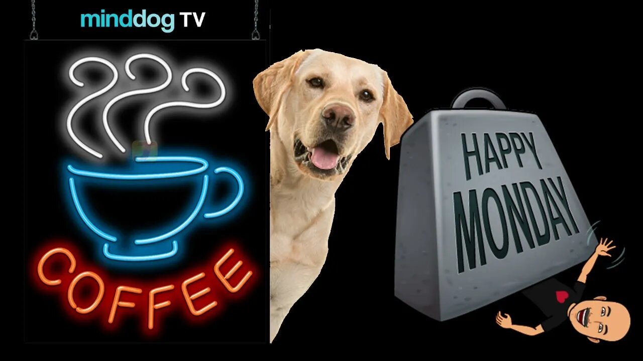 Coffee with the Dog - EP259 - Funk You Very Much