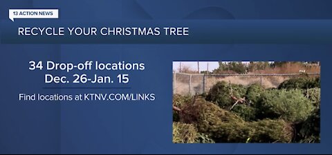 Christmas tree recycling in LV valley