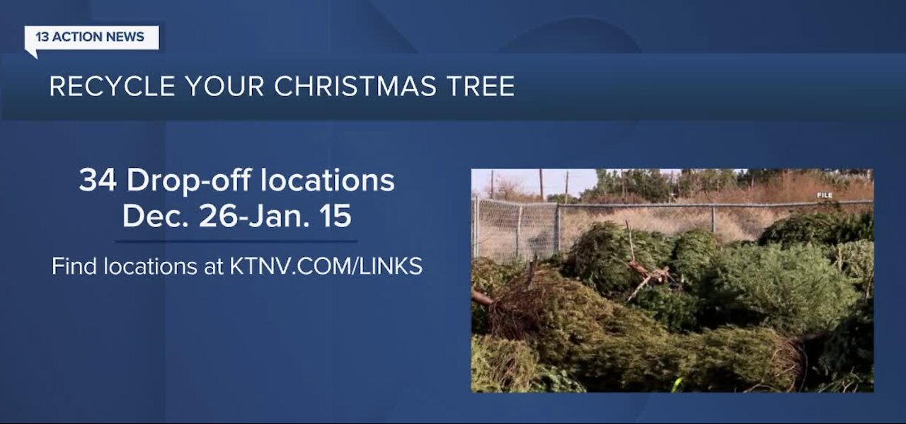 Christmas tree recycling in LV valley