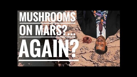 [CLIP] Mushrooms On Mars...Again?