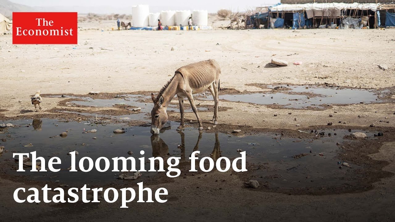 The global food crisis, explained