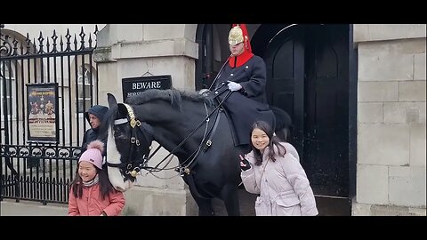 Her friend got away with it. she wasn't so lucky. Don't touch the reins]#horseguardsparade