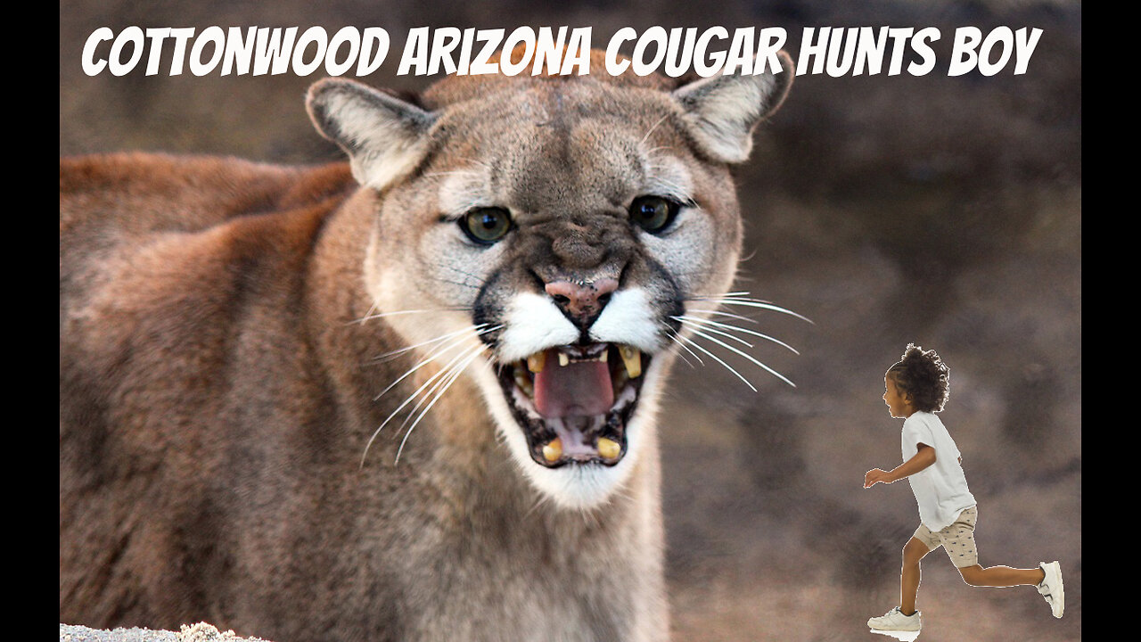 COUGAR BACK HUNTING KIDS