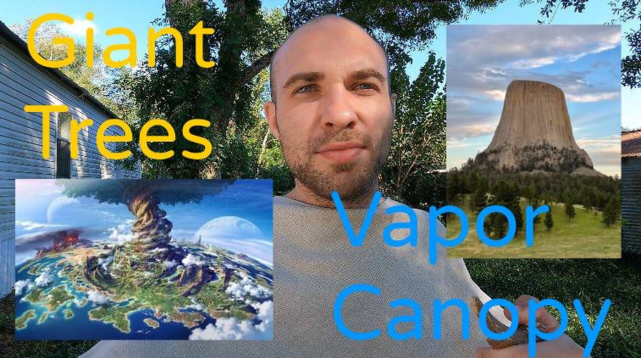 The Vapor Canopy (GIANT TREES)