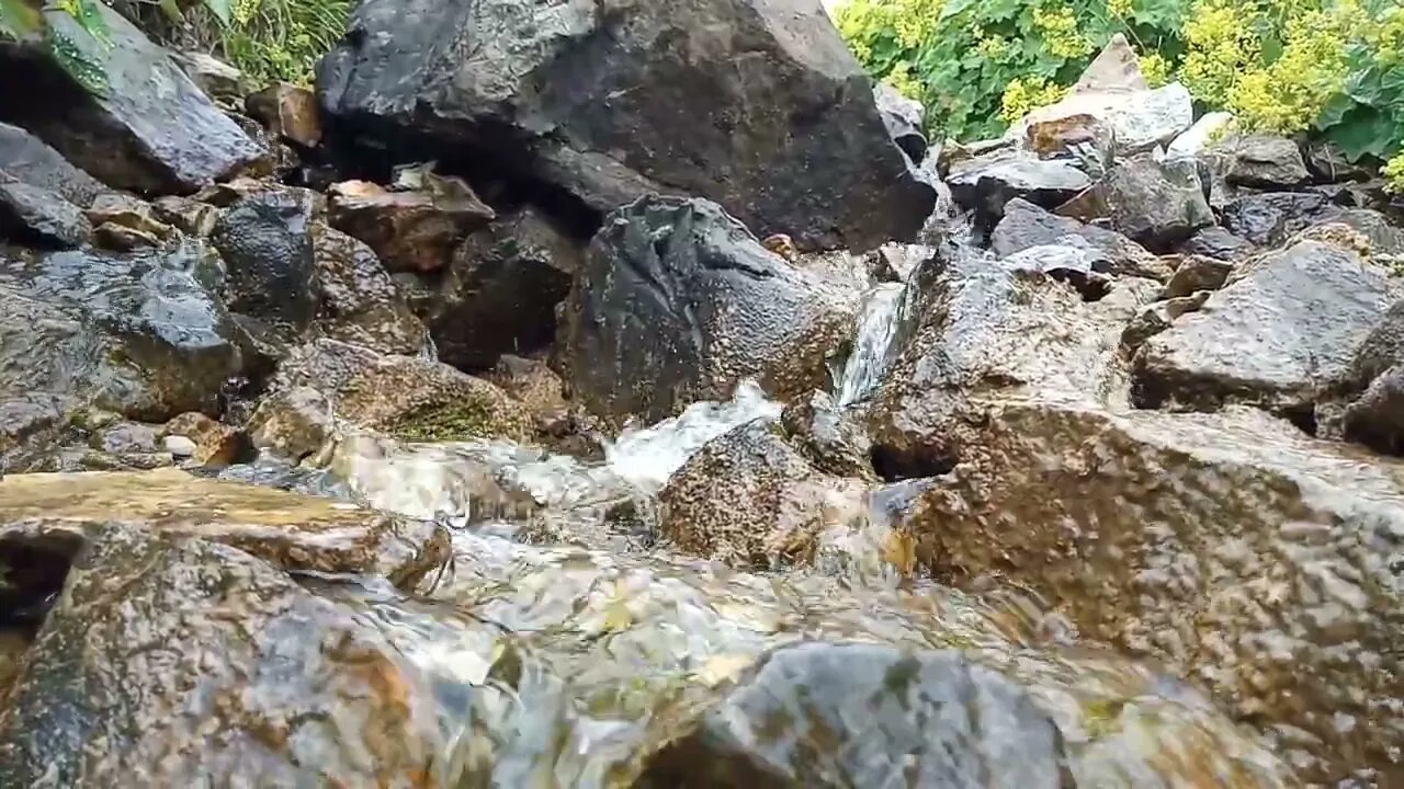 Yaylanın Eşsiz Güzelliklerinden Manzaralar 5