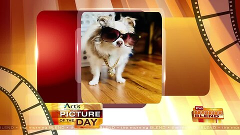 Art's Cameras Plus Picture of the Day for October 17!