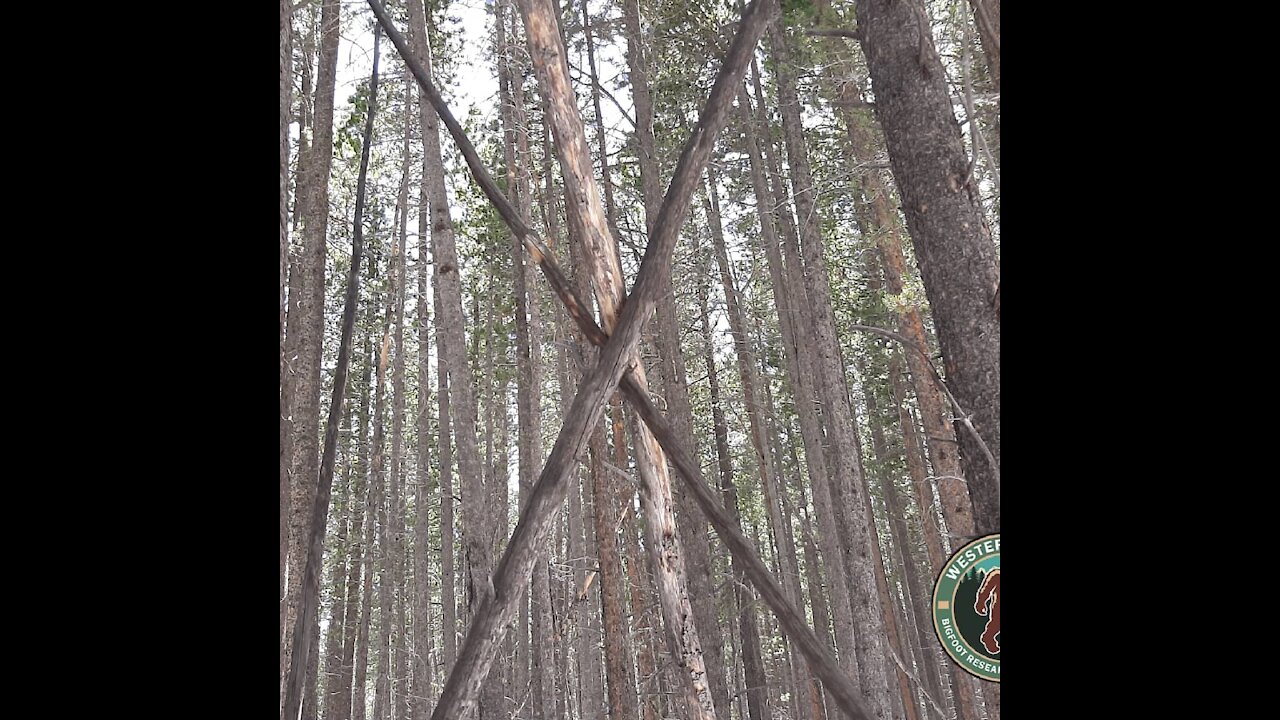 (Sasquatch) Bigfoot, small sign they are here, Western Slope bigfoot