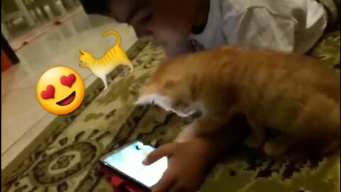 Cat watching cartoon with its owner attacks the cell phone