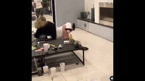 2 Becky’s Fighting In Car Dealership Waiting Area