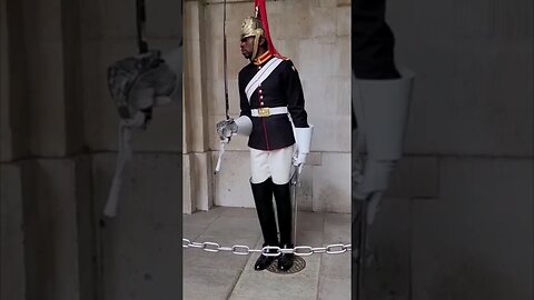 Get back blue's and Royals guard shouts 2022 #horseguardsparade