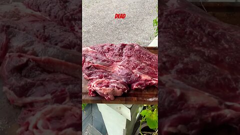 How To Kill A Steak ⚒️ #carnivore #steak #bbq #carnivorediet #bodybuilding #fitness #food