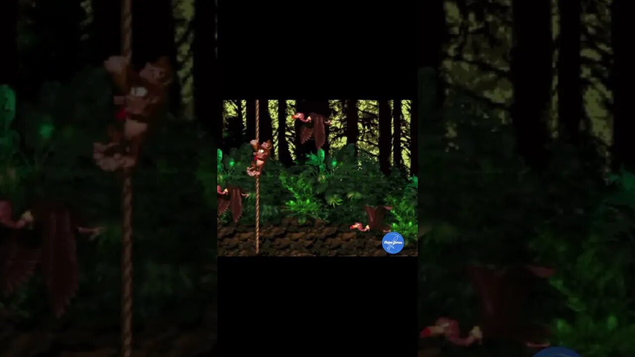 THERE’S BIRDS EVERYWHERE! #retrogaming #donkeykong #donkeykongcountry #nintendo