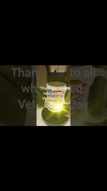 Veterans Day 2022. Thank you