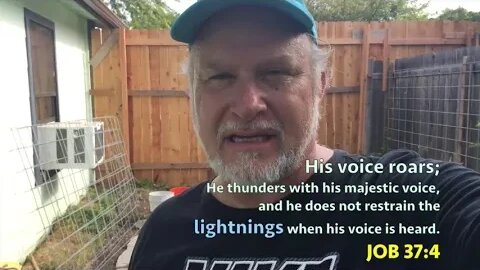 Vine & Container UPDATE 8-6-2017