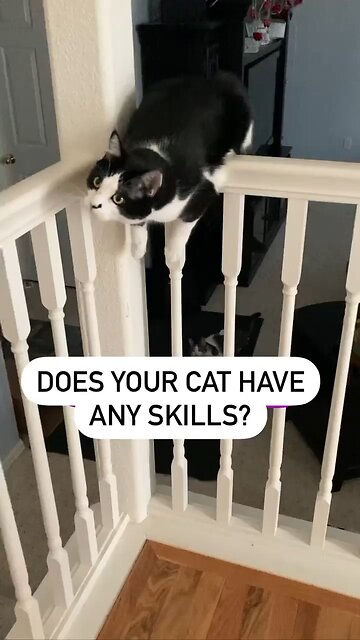 Napoleon Dynamite Skills