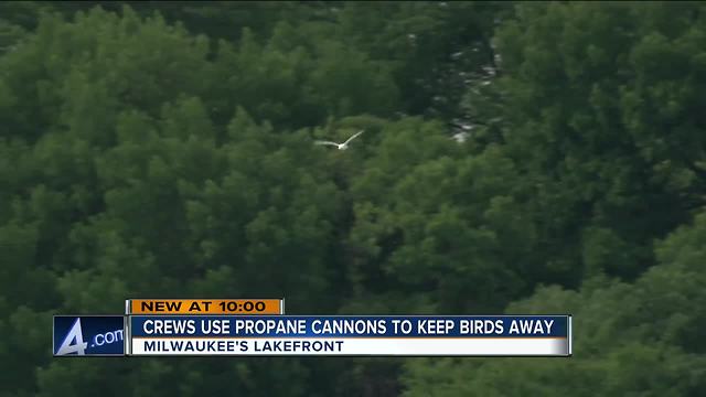 Lakefront booms scare off birds for Milwaukee Air & Water Show