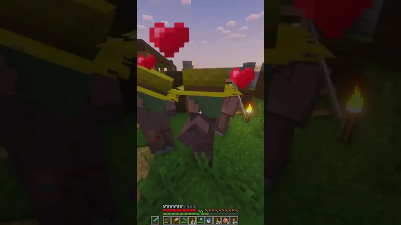 Have you ever played Minecraft with a group of friends, and what did you do together?