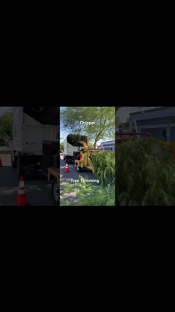Wood Chipper. Tree trimming in Las Vegas.