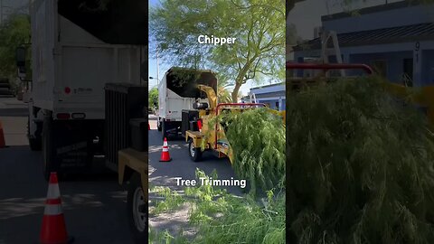 Wood Chipper. Tree trimming in Las Vegas.